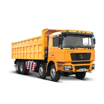 SHACMAN X3000 SX33156U406 Dump truck