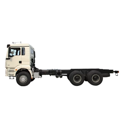 H3000 lorry truck