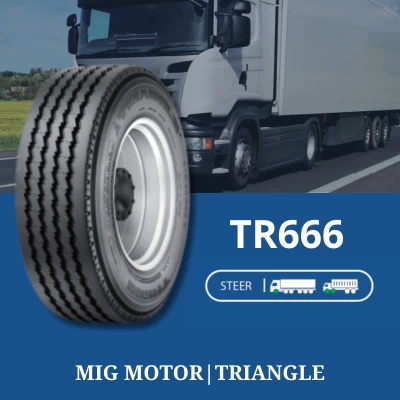 Tires TR666