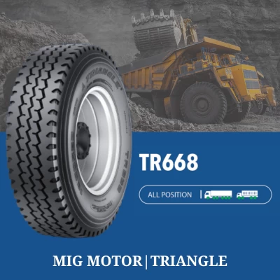 Tires TR668