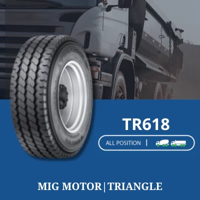 Tires TR618
