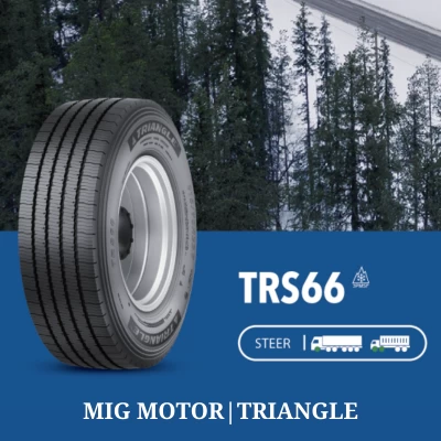Tires TRS66