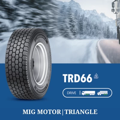 Tires TRD66